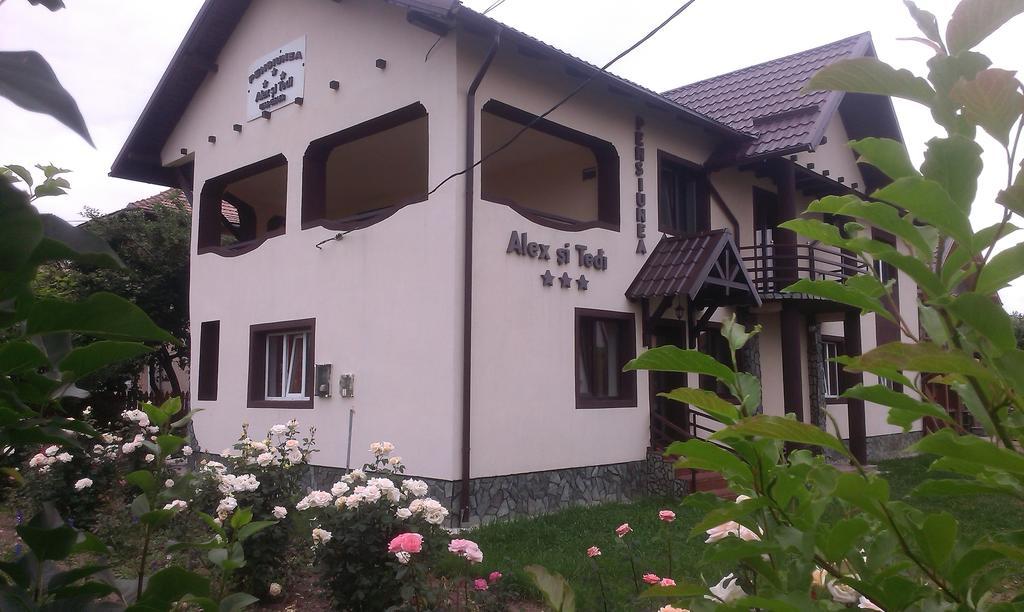 Pensiunea Alex Si Tedi Horezu Pokoj fotografie