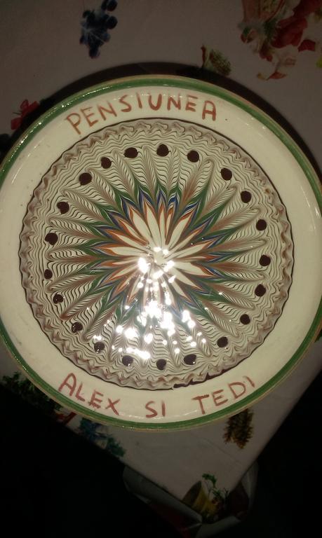 Pensiunea Alex Si Tedi Horezu Exteriér fotografie
